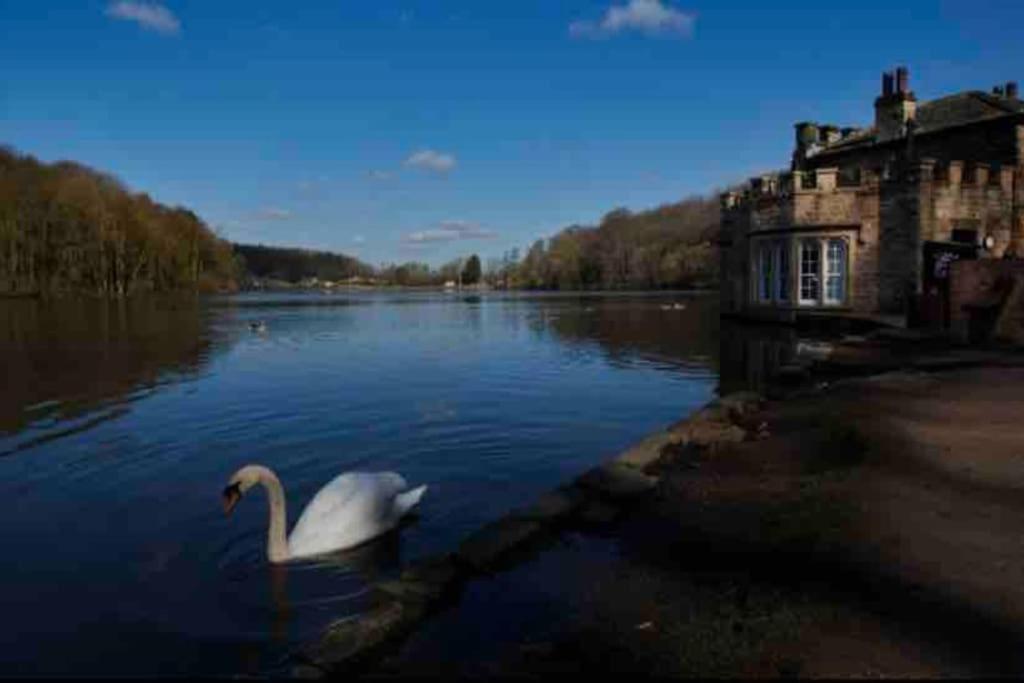 Millstone Cottage Newmillerdam Hill Top 外观 照片